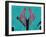 Fly Blueprint-Belen Mena-Framed Giclee Print