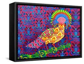 Fly catcher-Jane Tattersfield-Framed Stretched Canvas