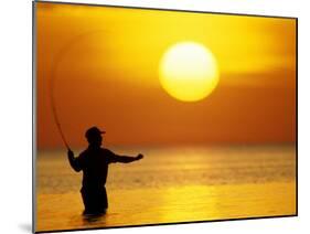 Fly Fisherman in the Florida Keys, Florida, USA-null-Mounted Photographic Print