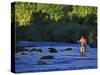 Fly Fisherman, USA-null-Stretched Canvas