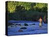 Fly Fisherman, USA-null-Stretched Canvas