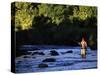 Fly Fisherman-null-Stretched Canvas