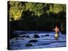 Fly Fisherman-null-Stretched Canvas