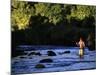 Fly Fisherman-null-Mounted Photographic Print