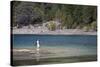 Fly Fishing at the Limay River in the Lake District, Patagonia, Argentina, South America-Yadid Levy-Stretched Canvas