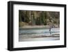 Fly Fishing at the Limay River in the Lake District, Patagonia, Argentina, South America-Yadid Levy-Framed Photographic Print