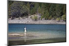 Fly Fishing at the Limay River in the Lake District, Patagonia, Argentina, South America-Yadid Levy-Mounted Photographic Print