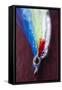 Fly fishing bait-Panoramic Images-Framed Stretched Canvas