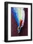 Fly fishing bait-Panoramic Images-Framed Photographic Print