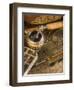 Fly Fishing Equipment-Tom Grill-Framed Premium Photographic Print