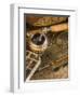 Fly Fishing Equipment-Tom Grill-Framed Premium Photographic Print