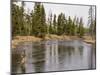 Fly Fishing, Firehole River, Yellowstone National Park, UNESCO World Heritage Site, Wyoming, USA-Pitamitz Sergio-Mounted Photographic Print