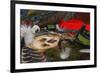 Fly-Fishing: Flies Accessories-null-Framed Art Print