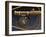 Fly Fishing Gear-null-Framed Photographic Print