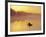 Fly-fishing in Lake Muskoka, Ontario-Henry Georgi-Framed Photographic Print