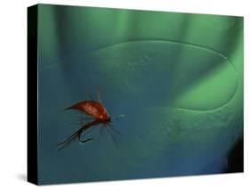 Fly Fishing Lure-null-Stretched Canvas