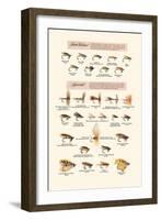 Fly-Fishing Lures: Low Water and Special-null-Framed Art Print