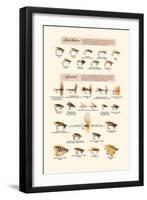 Fly-Fishing Lures: Low Water and Special-null-Framed Art Print