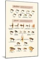 Fly-Fishing Lures: Low Water and Special-null-Mounted Art Print