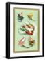 Fly Fishing Lures-null-Framed Art Print