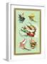 Fly Fishing Lures-null-Framed Art Print