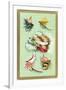 Fly Fishing Lures-null-Framed Art Print