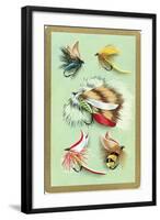 Fly Fishing Lures-null-Framed Art Print