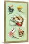 Fly Fishing Lures-null-Mounted Art Print