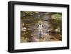 Fly Fishing on the Creek-null-Framed Art Print