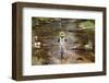 Fly Fishing on the Creek-null-Framed Art Print