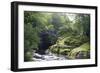 Fly Fishing on the River Shiel, Near Acharacle, Invernesshire, Scotland, United Kingdom, Europe-Duncan Maxwell-Framed Photographic Print