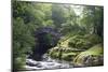 Fly Fishing on the River Shiel, Near Acharacle, Invernesshire, Scotland, United Kingdom, Europe-Duncan Maxwell-Mounted Photographic Print