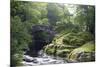 Fly Fishing on the River Shiel, Near Acharacle, Invernesshire, Scotland, United Kingdom, Europe-Duncan Maxwell-Mounted Photographic Print