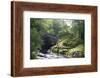 Fly Fishing on the River Shiel, Near Acharacle, Invernesshire, Scotland, United Kingdom, Europe-Duncan Maxwell-Framed Photographic Print