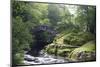 Fly Fishing on the River Shiel, Near Acharacle, Invernesshire, Scotland, United Kingdom, Europe-Duncan Maxwell-Mounted Photographic Print