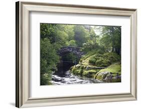 Fly Fishing on the River Shiel, Near Acharacle, Invernesshire, Scotland, United Kingdom, Europe-Duncan Maxwell-Framed Photographic Print