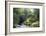 Fly Fishing on the River Shiel, Near Acharacle, Invernesshire, Scotland, United Kingdom, Europe-Duncan Maxwell-Framed Photographic Print