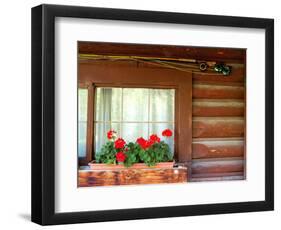 Fly Fishing Rods on Cabin Wall, Lake City, Colorado, USA-Janell Davidson-Framed Photographic Print