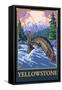 Fly Fishing Scene, Yellowstone National Park-Lantern Press-Framed Stretched Canvas