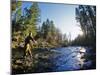 Fly-fishing the Jocko River, Montana, USA-Chuck Haney-Mounted Premium Photographic Print