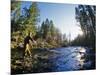 Fly-fishing the Jocko River, Montana, USA-Chuck Haney-Mounted Photographic Print