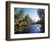 Fly-fishing the Jocko River, Montana, USA-Chuck Haney-Framed Photographic Print