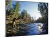 Fly-fishing the Jocko River, Montana, USA-Chuck Haney-Mounted Photographic Print