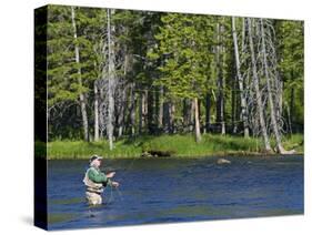 Fly Fishing the Madison River in Yellowstone National Park, Montana, Usa-David R. Frazier-Stretched Canvas
