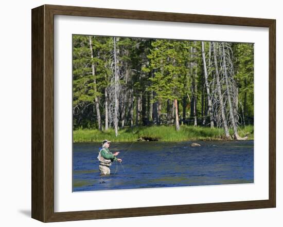 Fly Fishing the Madison River in Yellowstone National Park, Montana, Usa-David R. Frazier-Framed Photographic Print