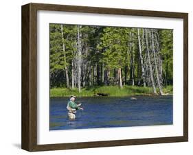 Fly Fishing the Madison River in Yellowstone National Park, Montana, Usa-David R. Frazier-Framed Photographic Print