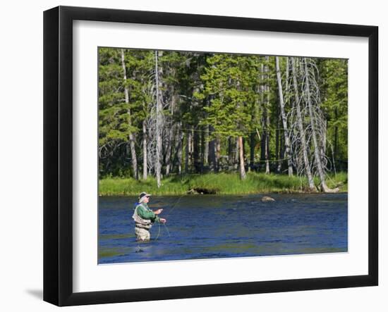 Fly Fishing the Madison River in Yellowstone National Park, Montana, Usa-David R. Frazier-Framed Photographic Print