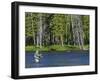 Fly Fishing the Madison River in Yellowstone National Park, Montana, Usa-David R. Frazier-Framed Photographic Print