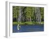 Fly Fishing the Madison River in Yellowstone National Park, Montana, Usa-David R. Frazier-Framed Photographic Print