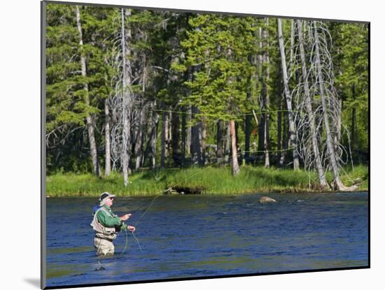 Fly Fishing the Madison River in Yellowstone National Park, Montana, Usa-David R. Frazier-Mounted Photographic Print